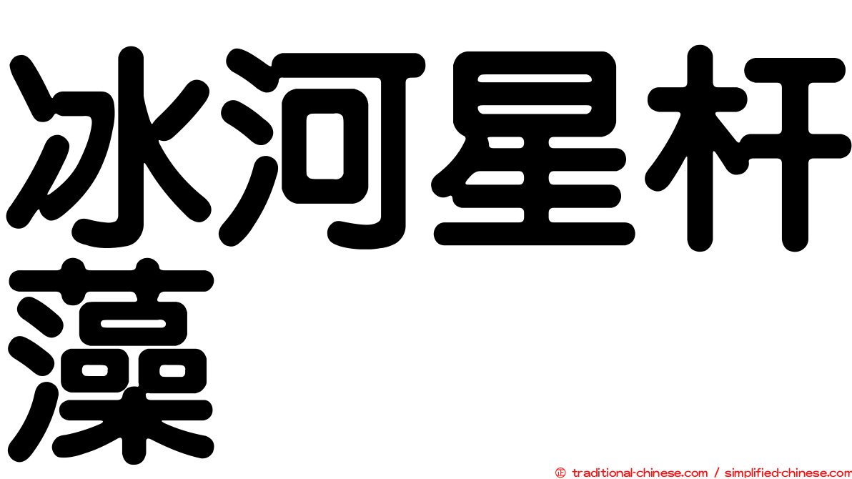 冰河星杆藻