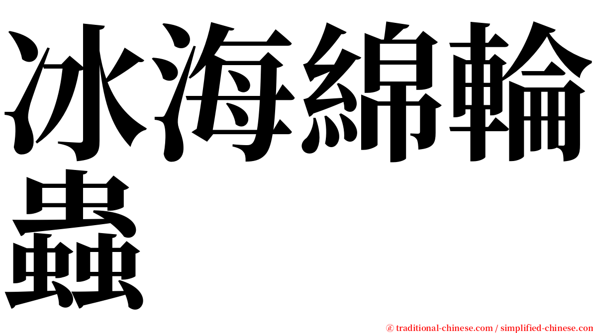冰海綿輪蟲 serif font