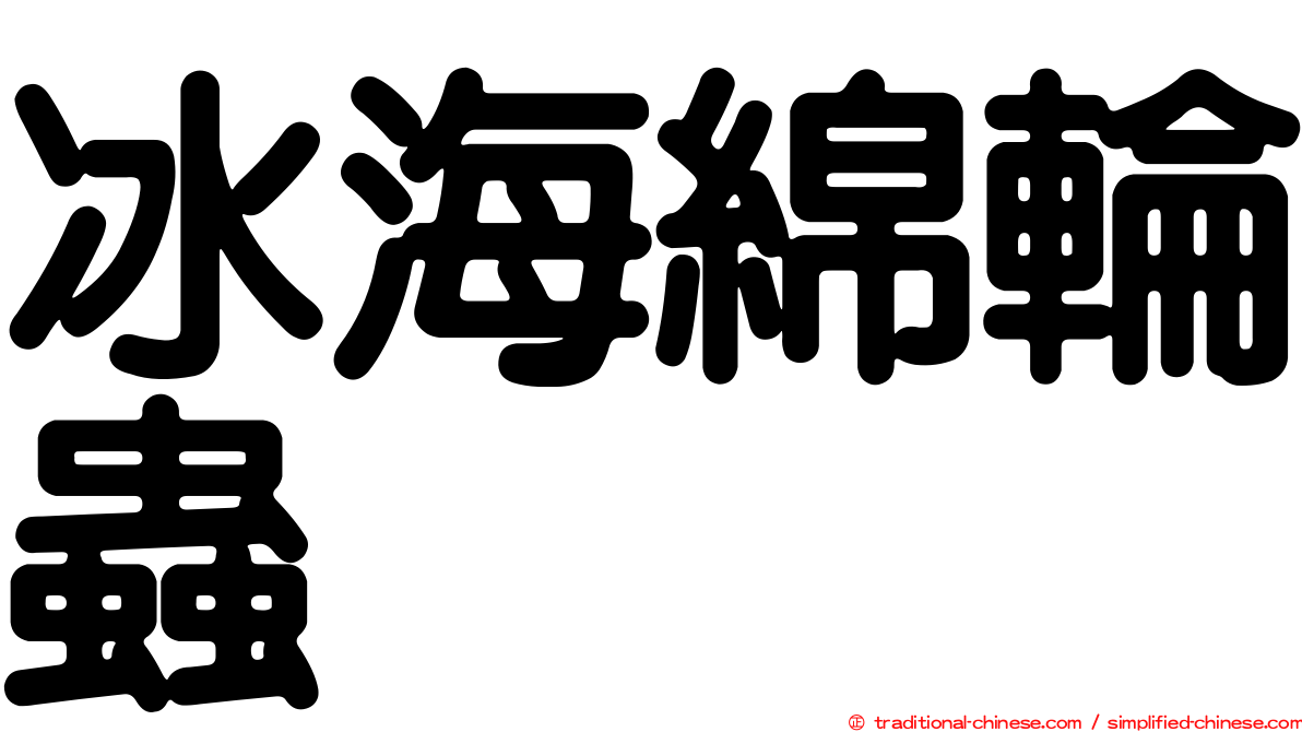 冰海綿輪蟲