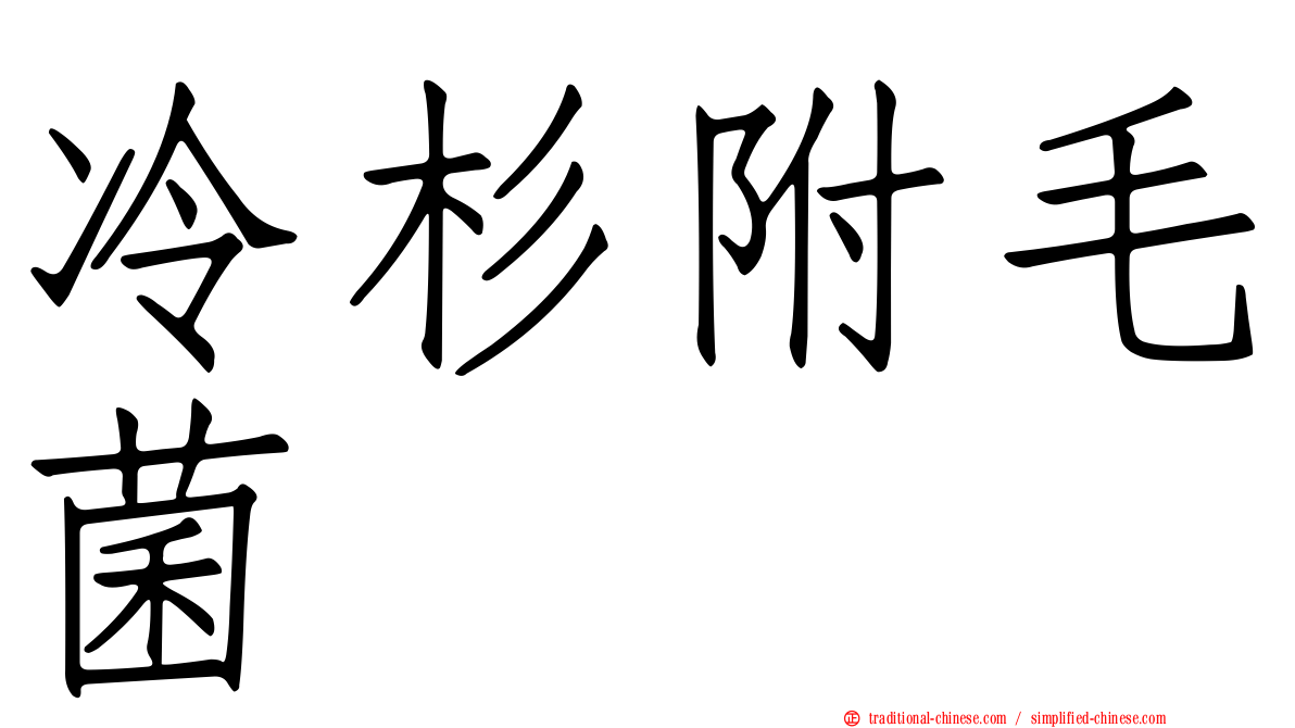 冷杉附毛菌
