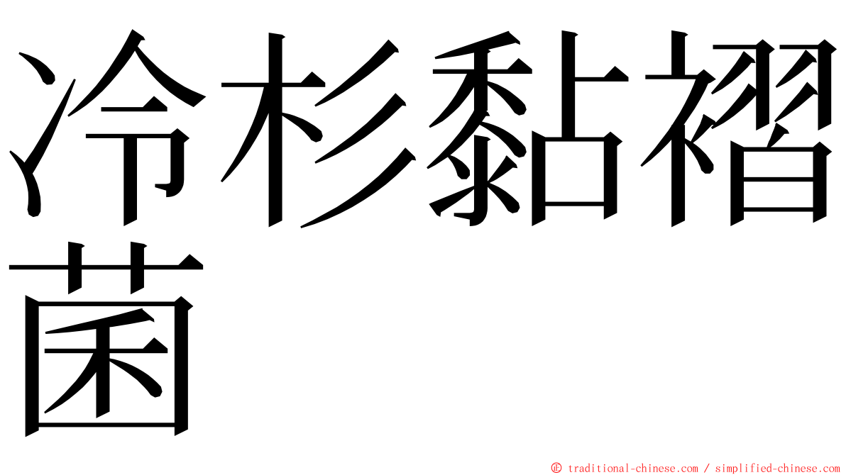 冷杉黏褶菌 ming font