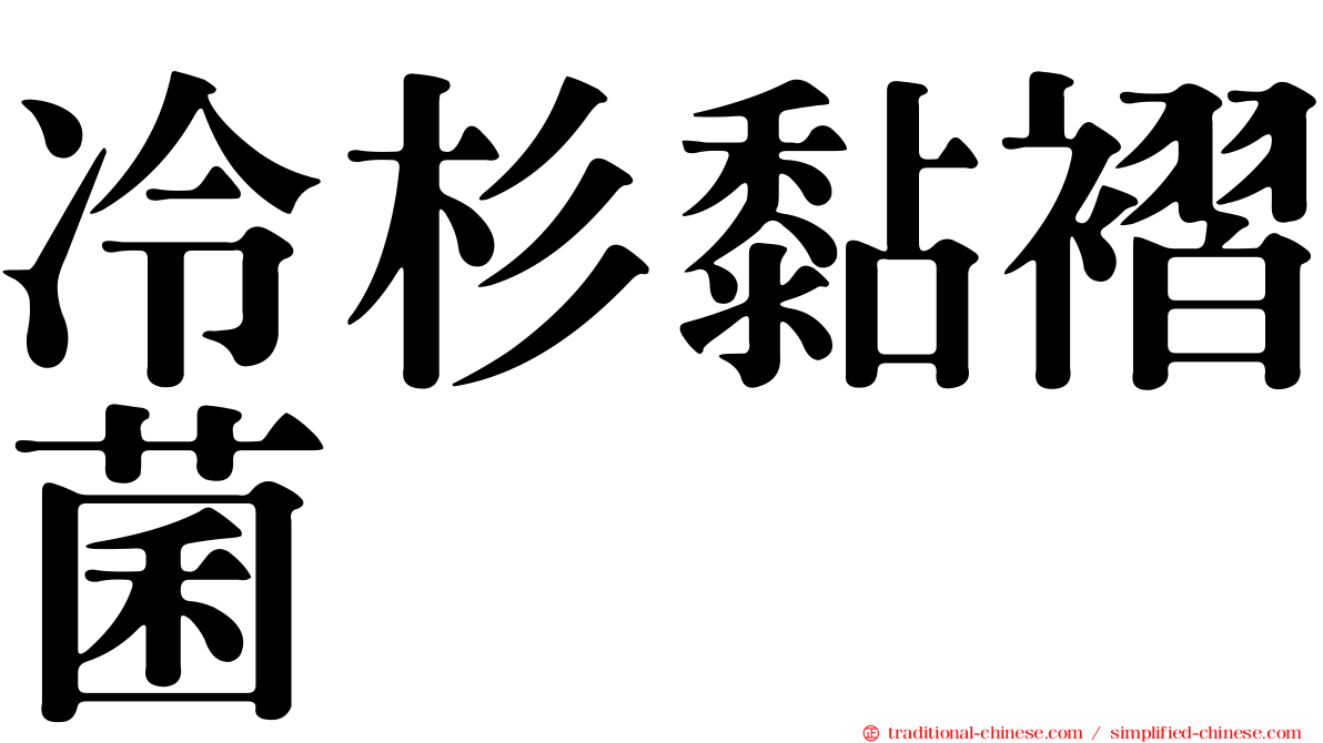 冷杉黏褶菌