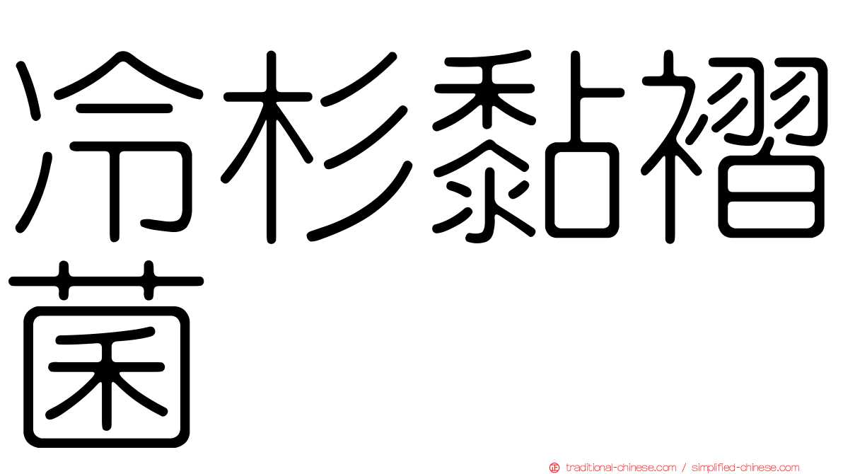 冷杉黏褶菌