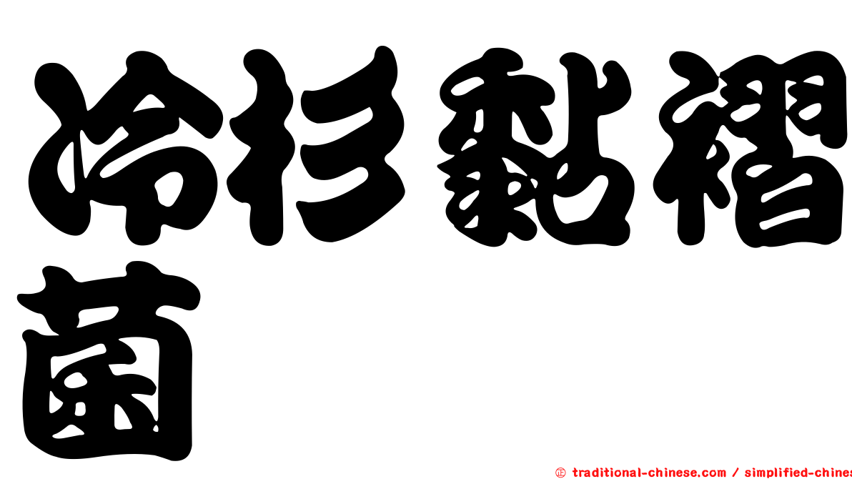 冷杉黏褶菌
