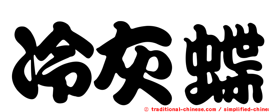 冷灰蝶