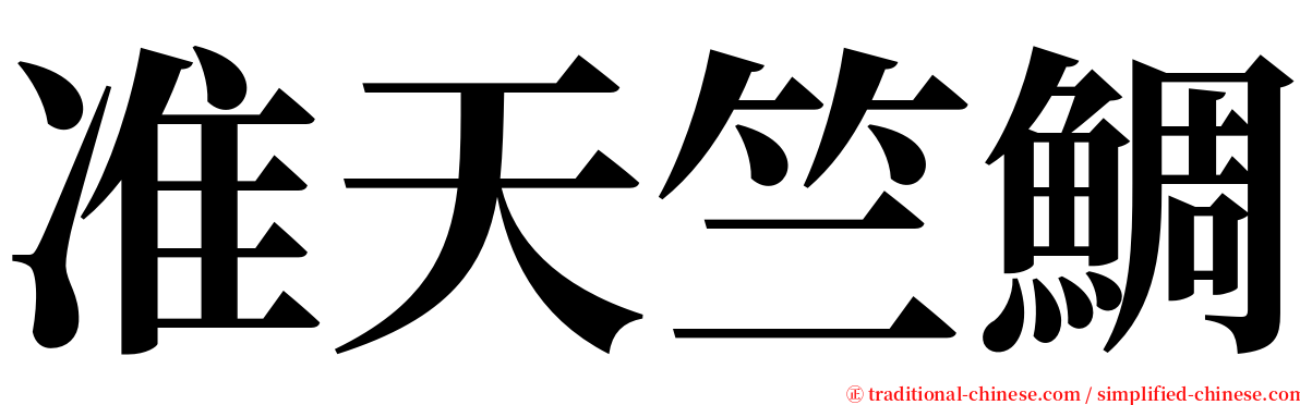 准天竺鯛 serif font