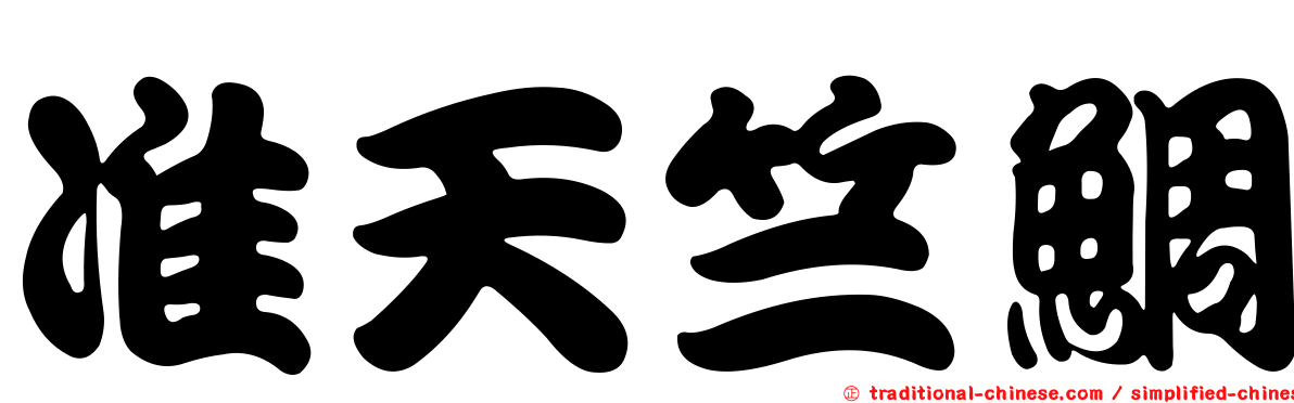 准天竺鯛