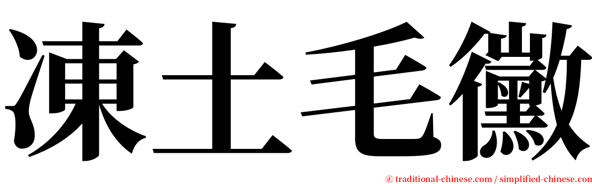 凍土毛黴 serif font