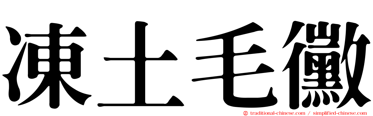 凍土毛黴