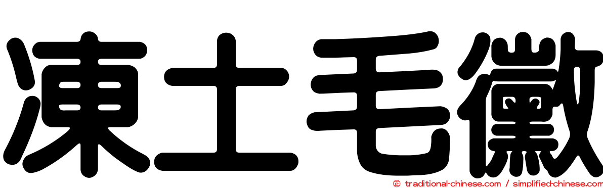 凍土毛黴