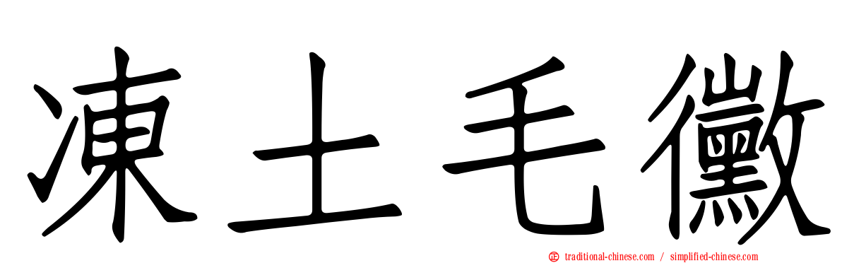 凍土毛黴
