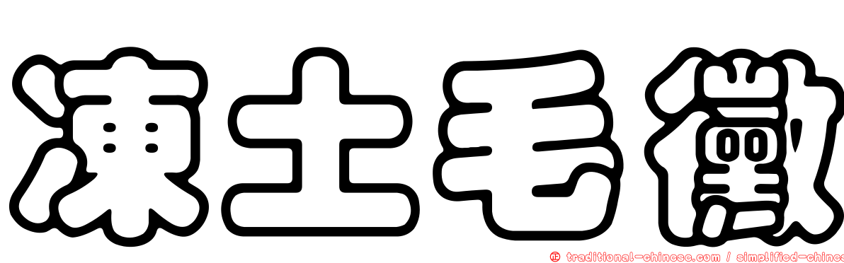 凍土毛黴
