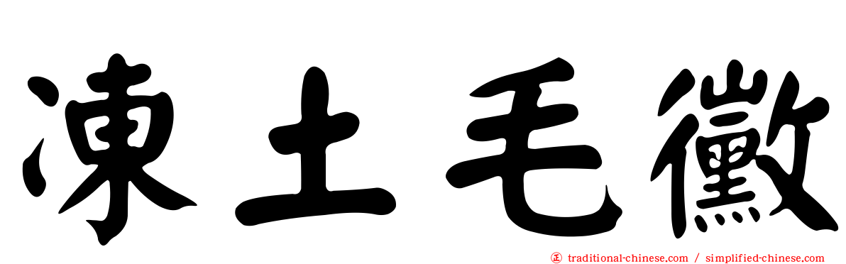 凍土毛黴