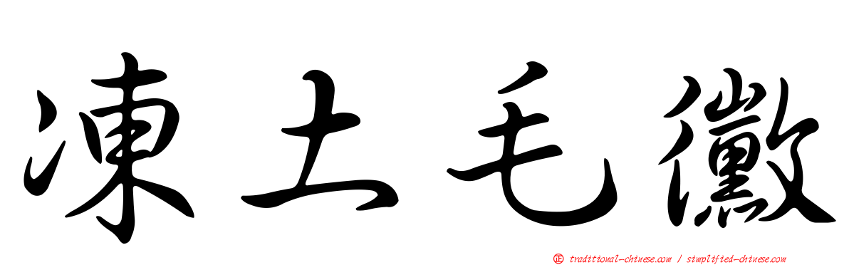 凍土毛黴