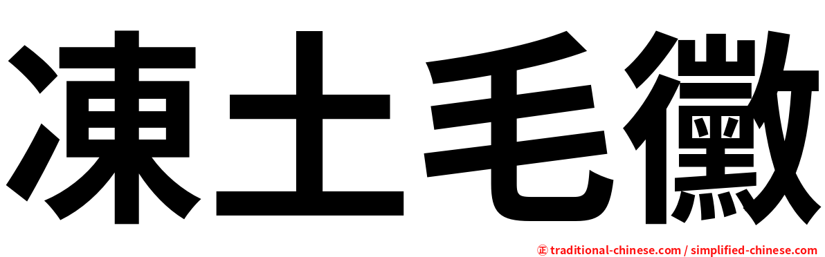 凍土毛黴