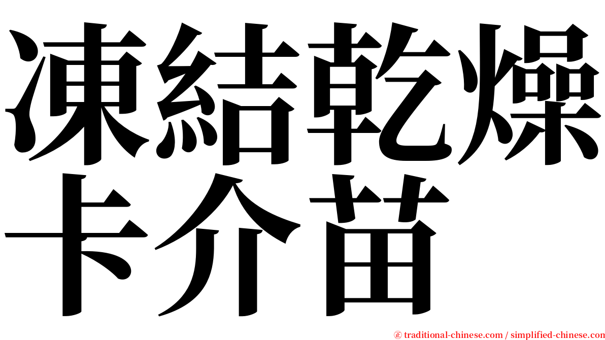 凍結乾燥卡介苗 serif font