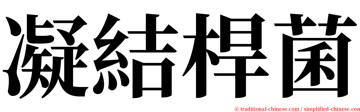 凝結桿菌 serif font