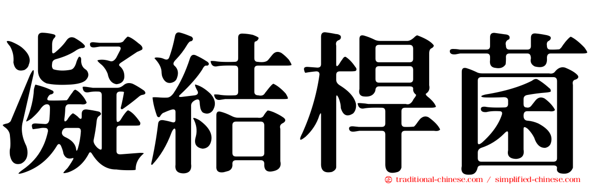 凝結桿菌
