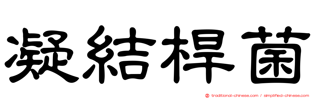 凝結桿菌