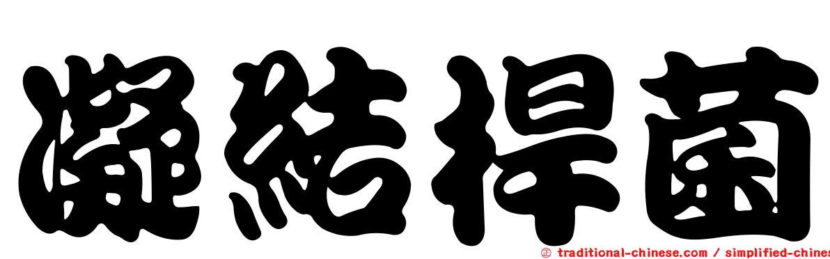 凝結桿菌