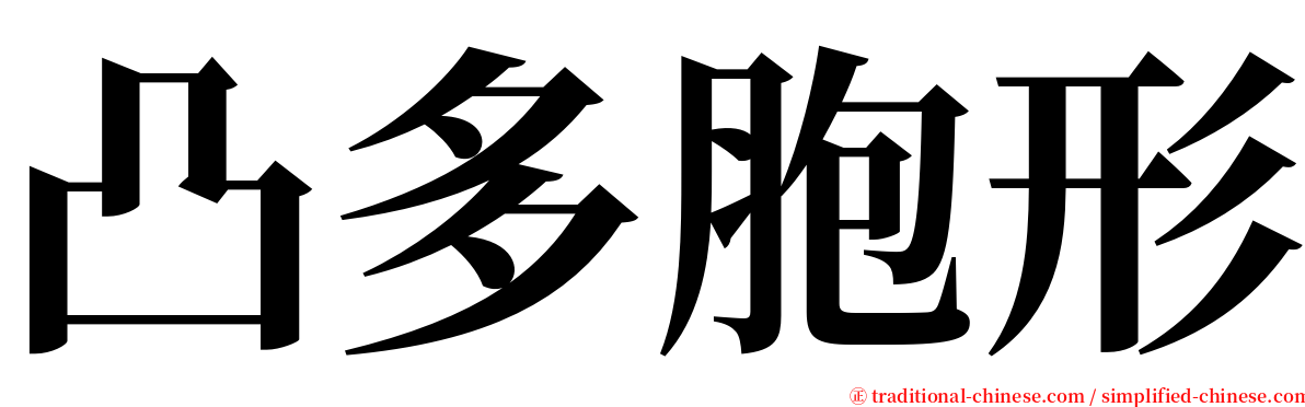 凸多胞形 serif font