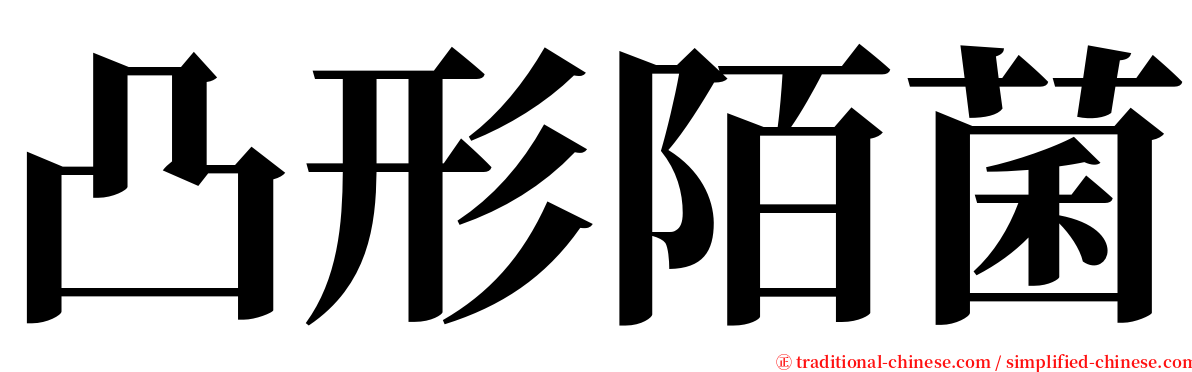 凸形陌菌 serif font