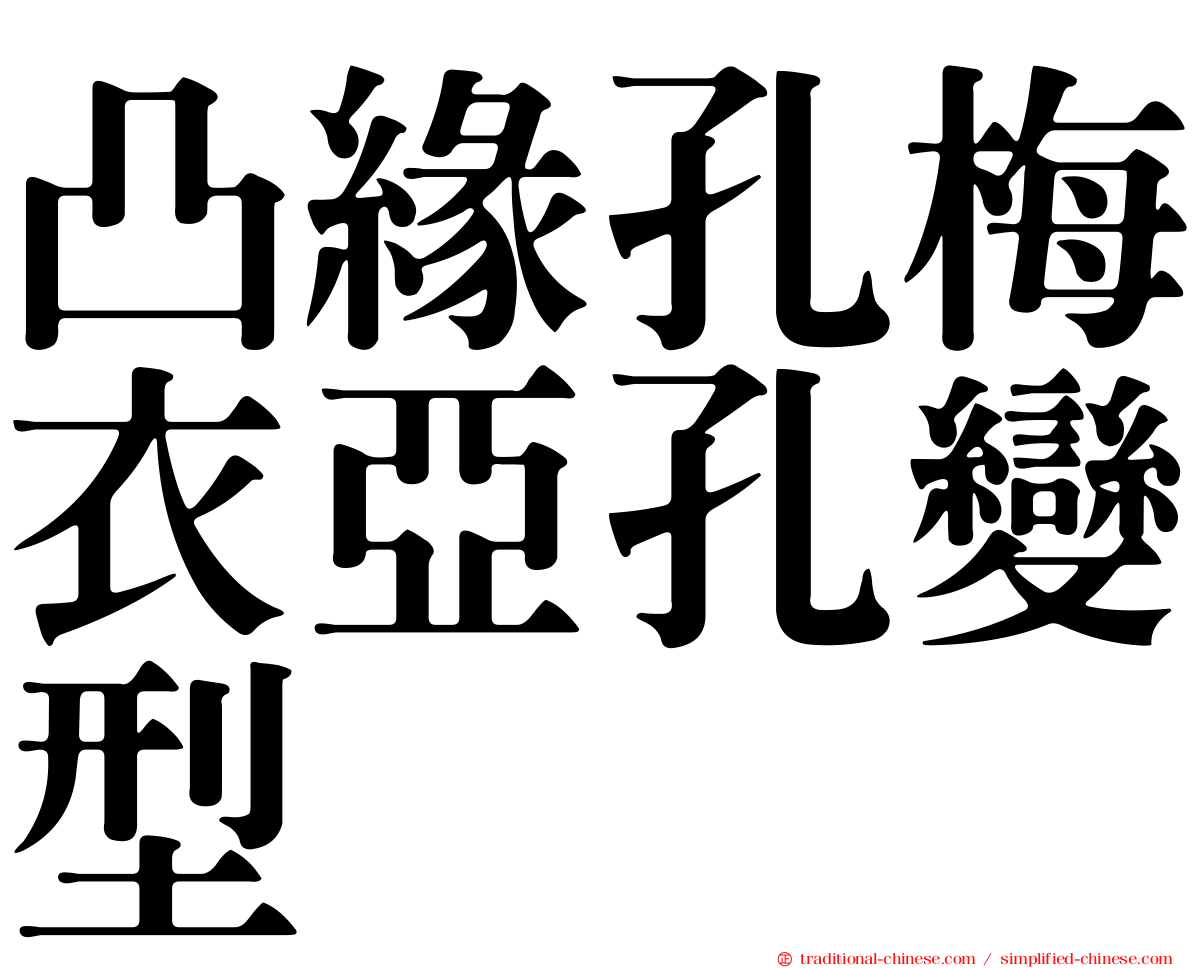 凸緣孔梅衣亞孔變型