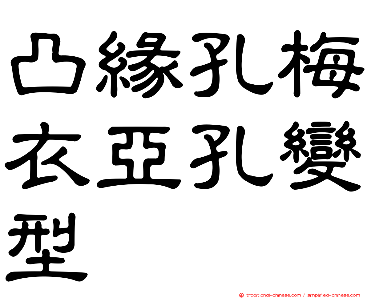 凸緣孔梅衣亞孔變型