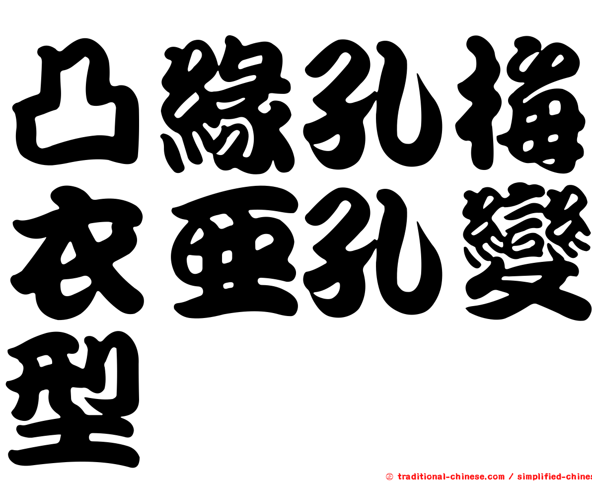凸緣孔梅衣亞孔變型