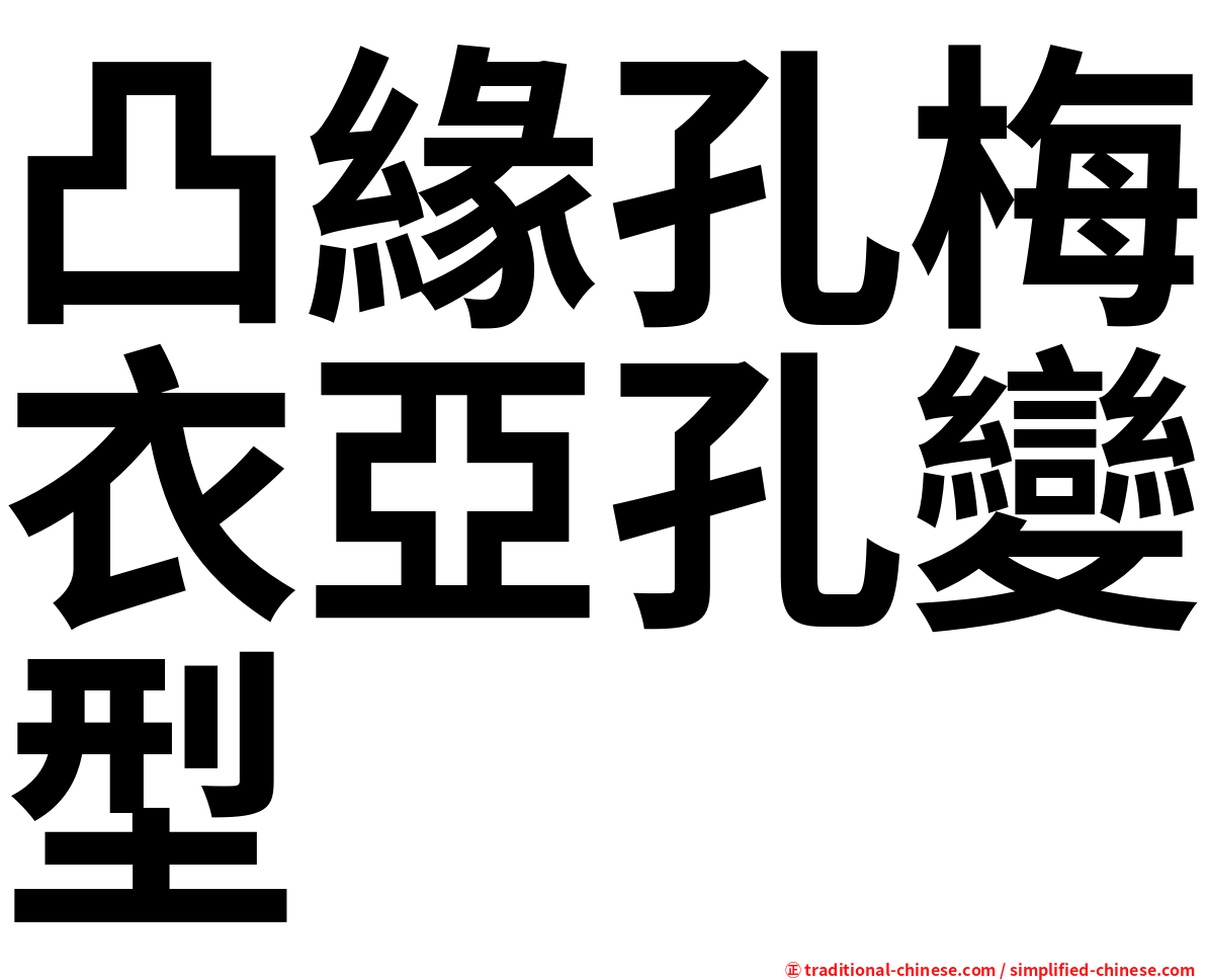 凸緣孔梅衣亞孔變型