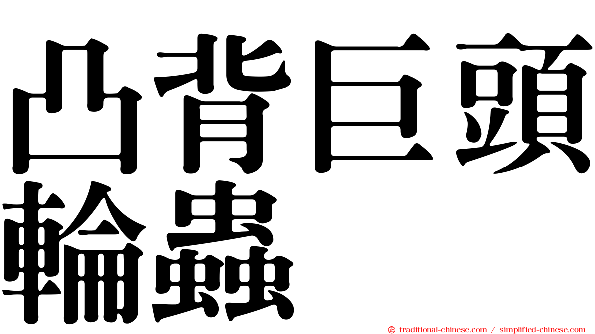 凸背巨頭輪蟲