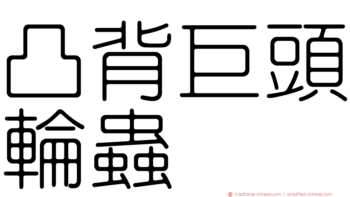 凸背巨頭輪蟲