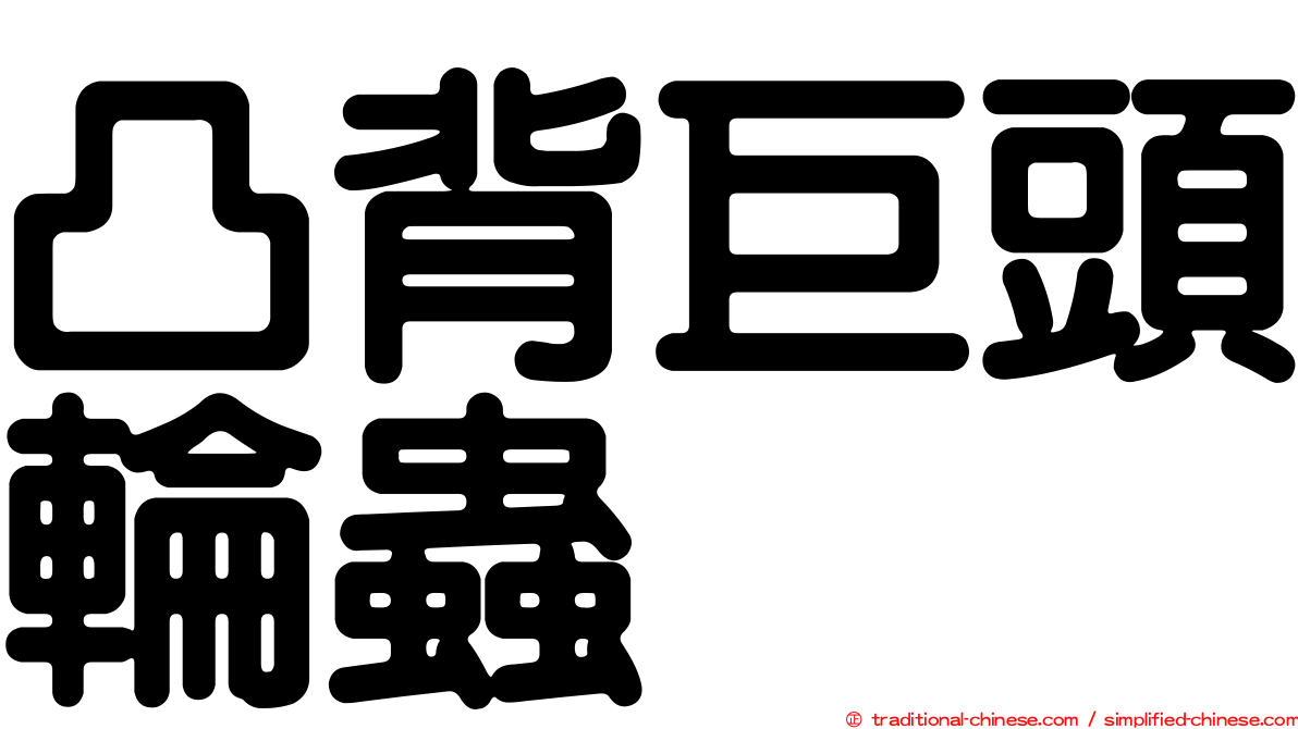 凸背巨頭輪蟲