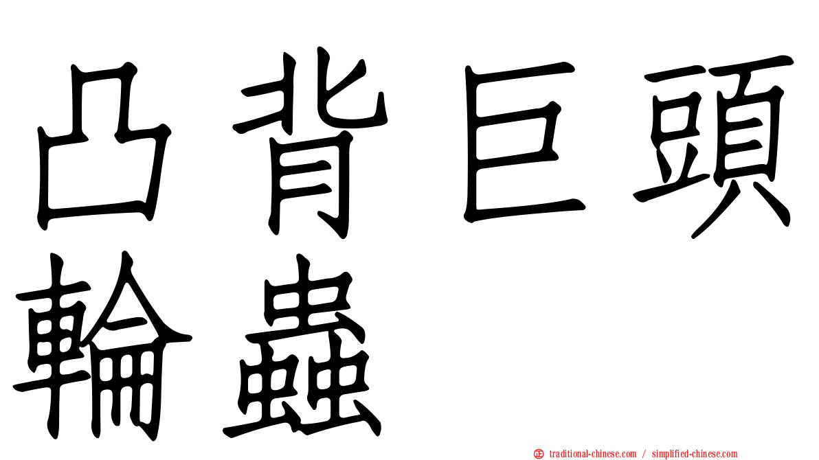 凸背巨頭輪蟲