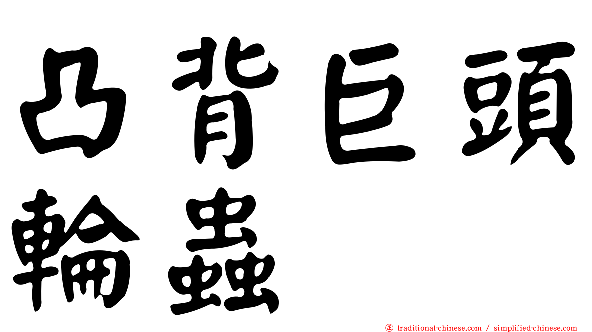 凸背巨頭輪蟲