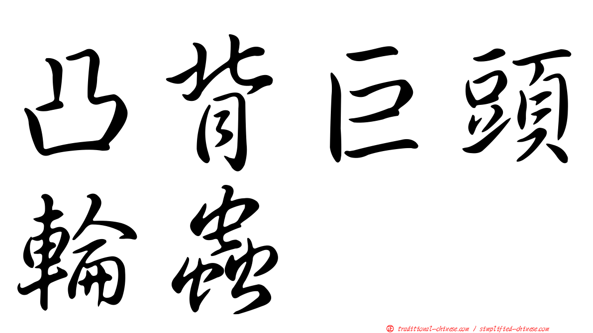 凸背巨頭輪蟲
