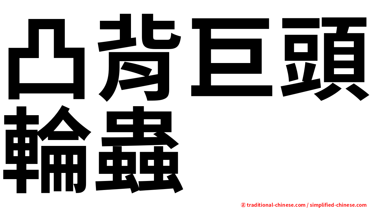 凸背巨頭輪蟲