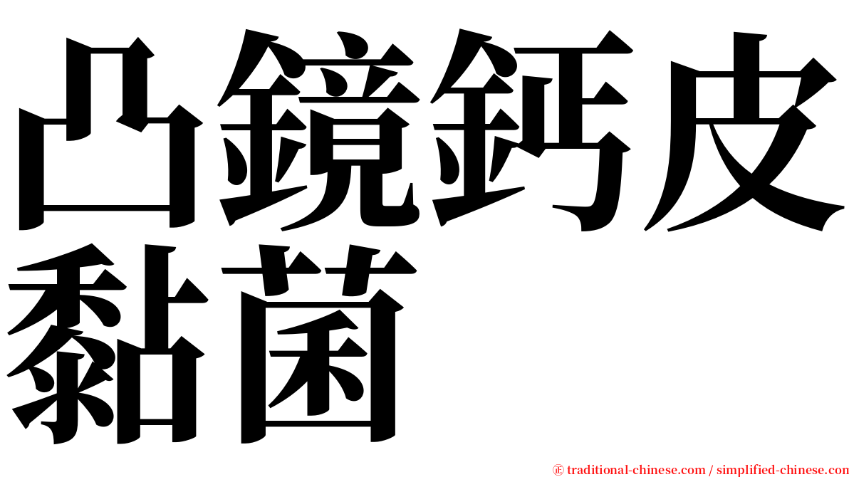 凸鏡鈣皮黏菌 serif font