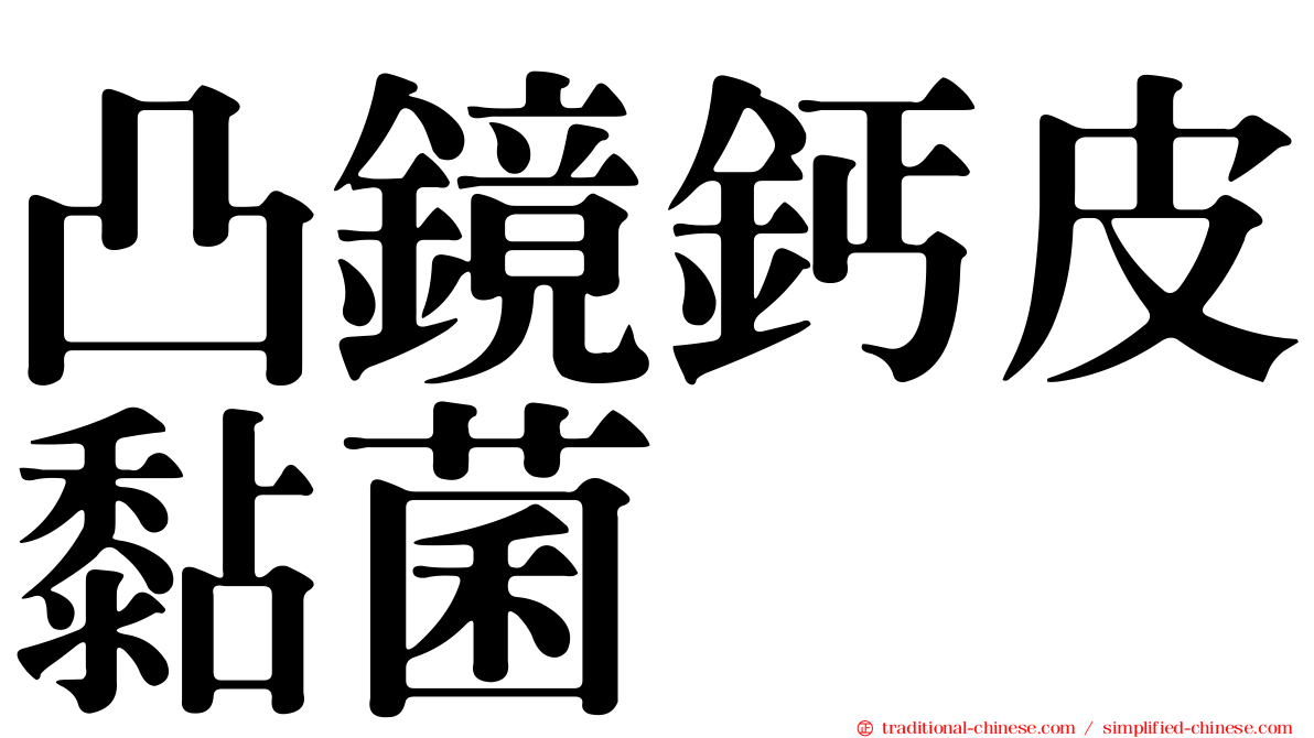 凸鏡鈣皮黏菌