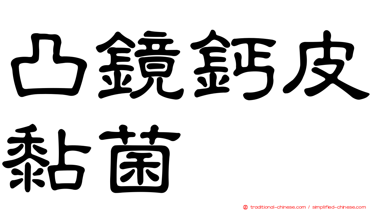 凸鏡鈣皮黏菌