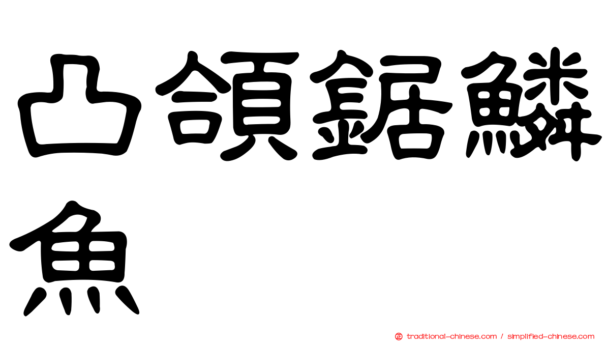 凸頜鋸鱗魚