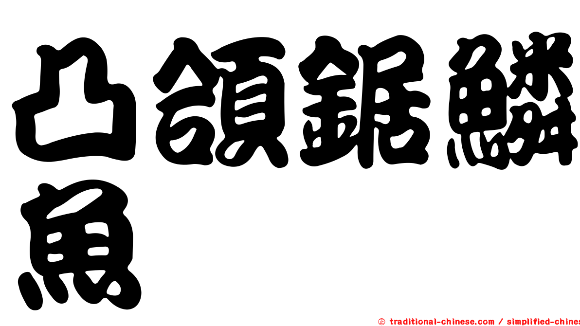 凸頜鋸鱗魚