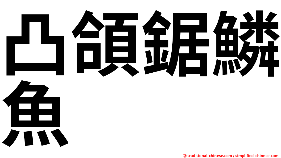 凸頜鋸鱗魚