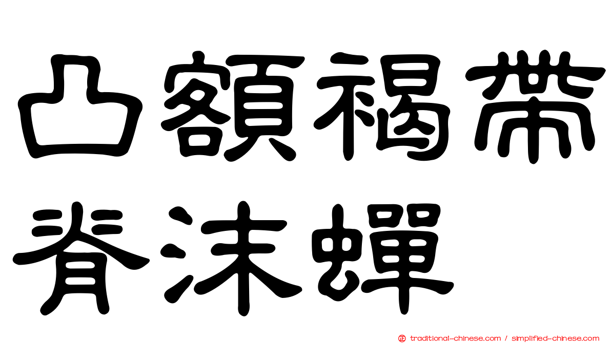 凸額褐帶脊沫蟬