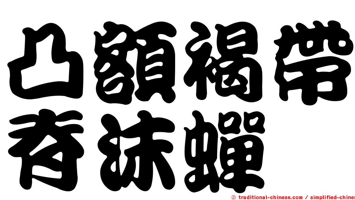 凸額褐帶脊沫蟬