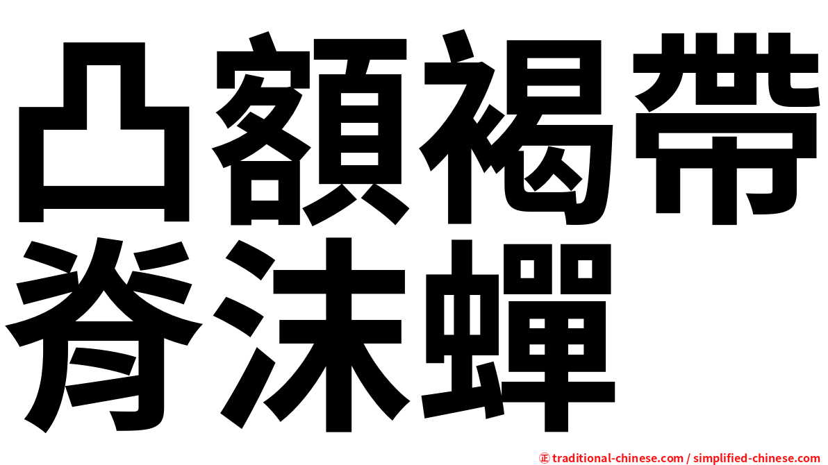 凸額褐帶脊沫蟬