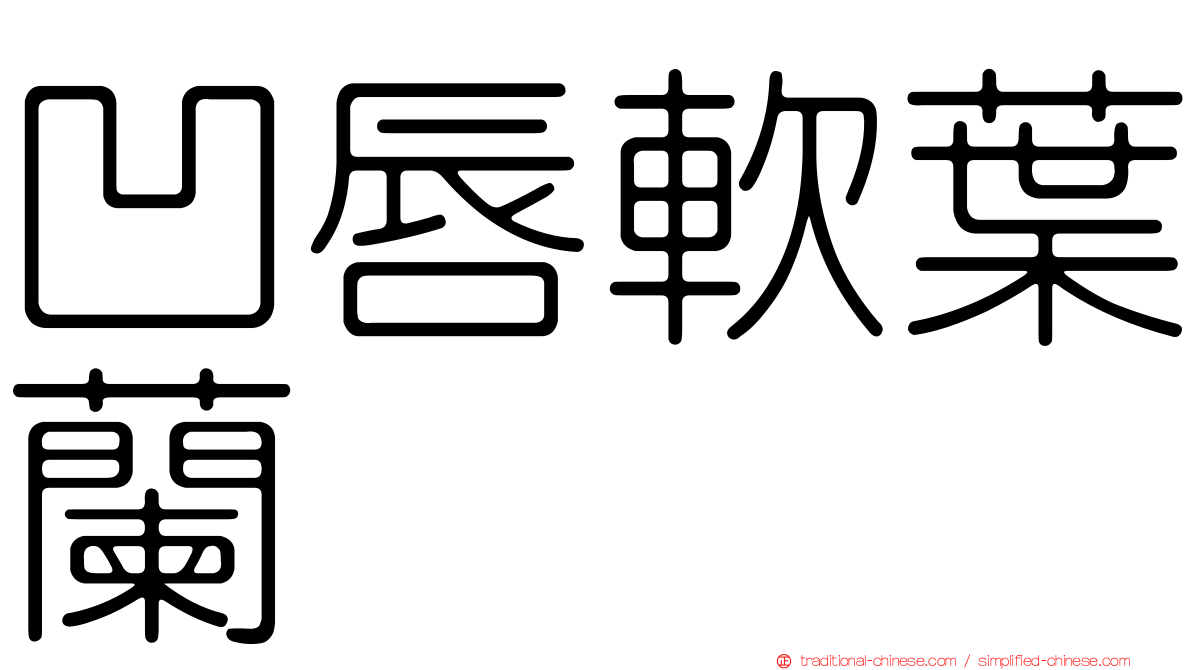 凹唇軟葉蘭