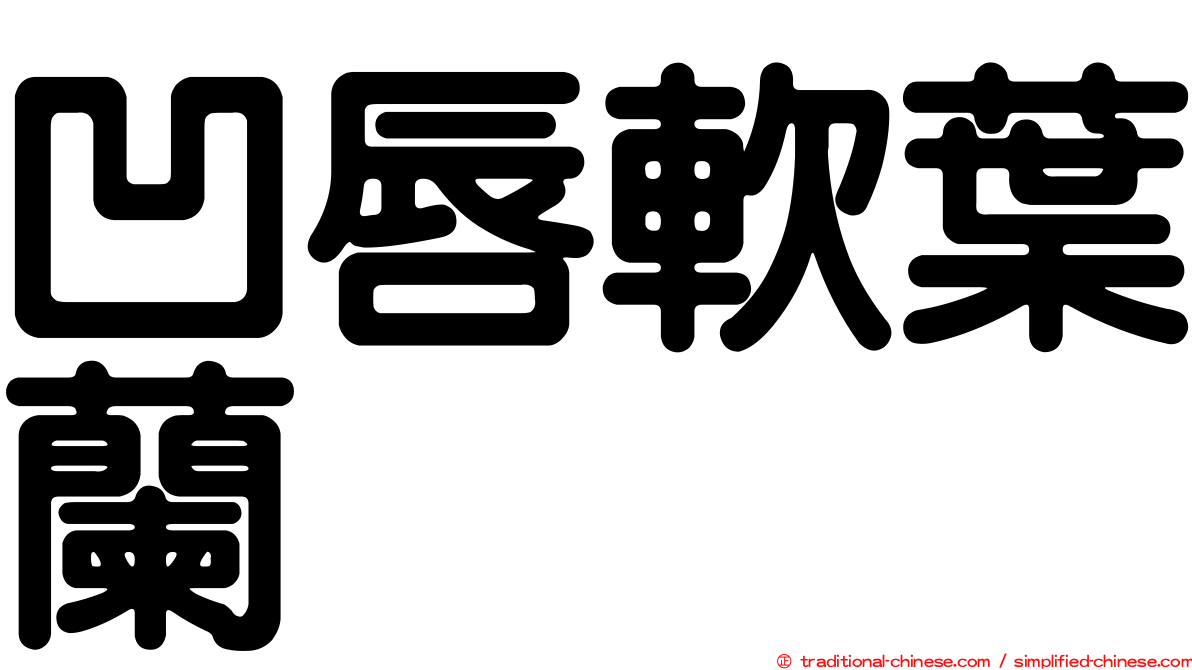 凹唇軟葉蘭