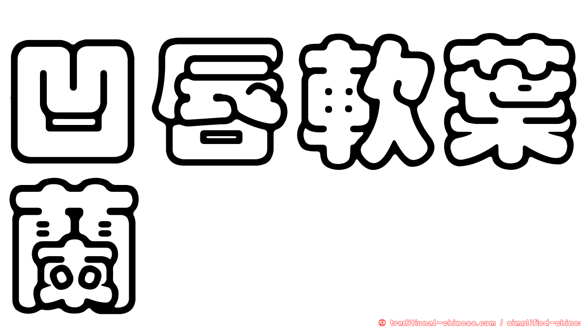 凹唇軟葉蘭