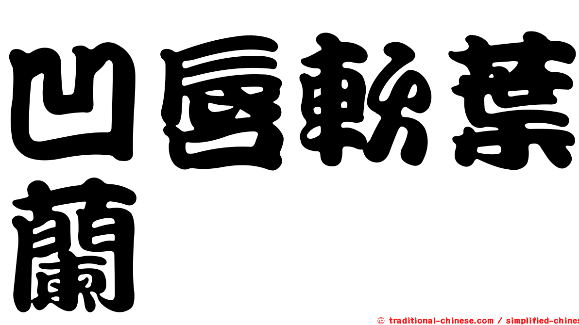凹唇軟葉蘭